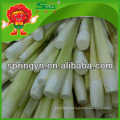 IQF WATER BAMBOO SHOOT